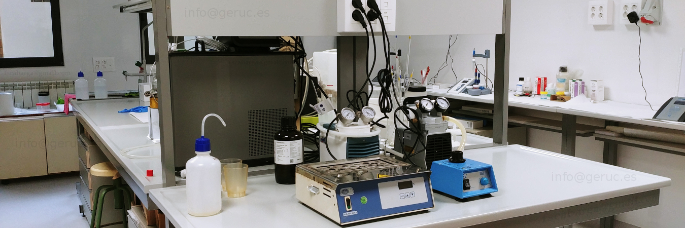 Laboratory bench of the research group